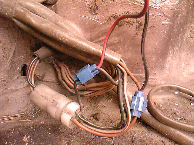 SP_A0779.jpg