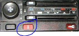 Bouton.JPG