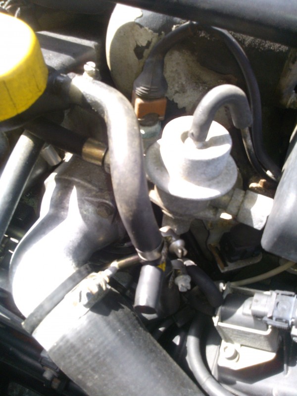 WP_000195.jpg