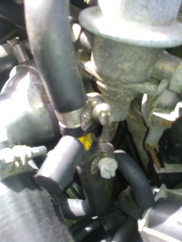 WP_000196.jpg
