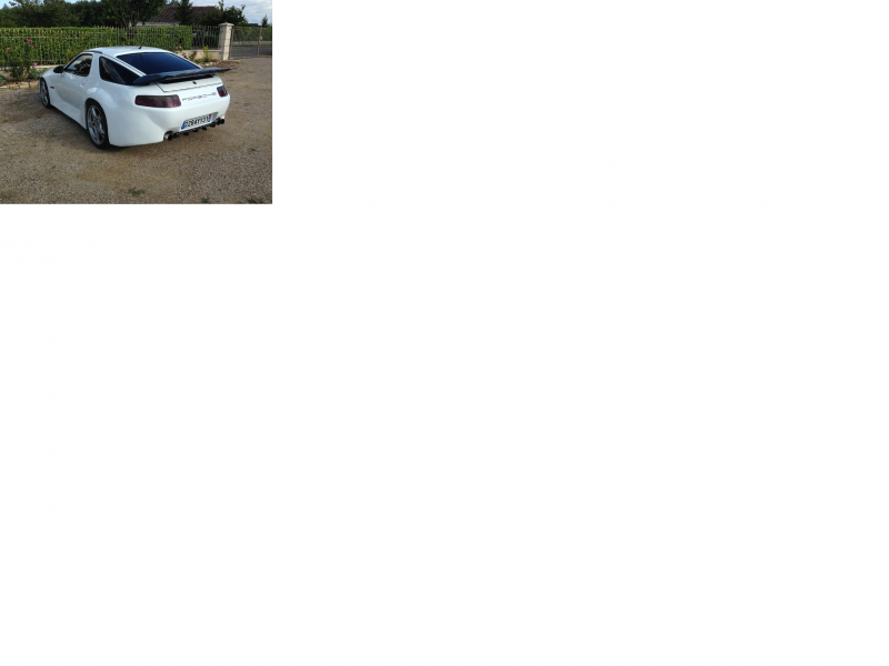PORSCHE 2.png
