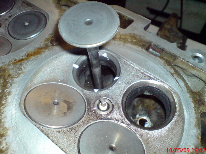 DSC00086.JPG