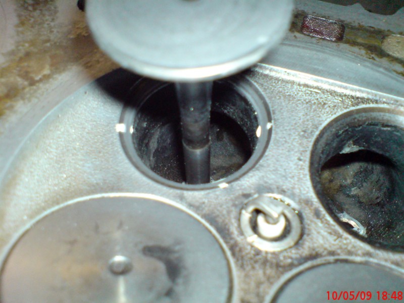 DSC00087.JPG