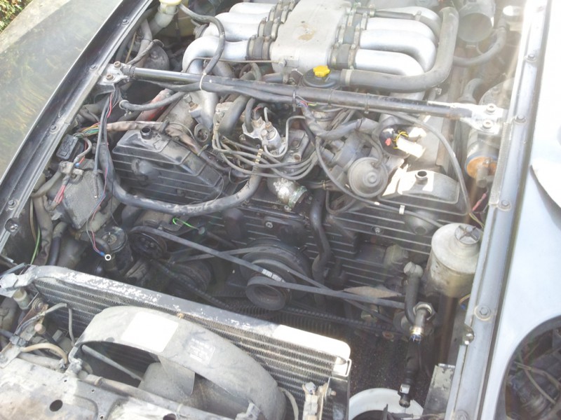 20141127_125002.jpg