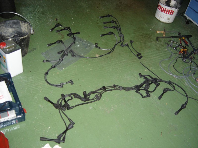 DSC00690.JPG