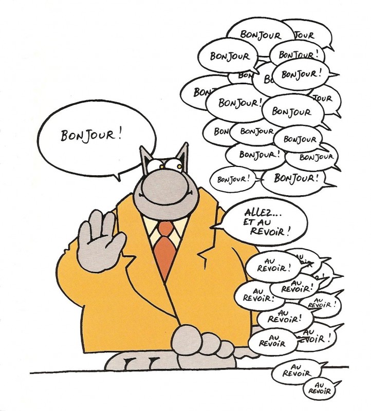 chat_bonjour.jpg