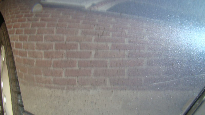 DSC04215.JPG