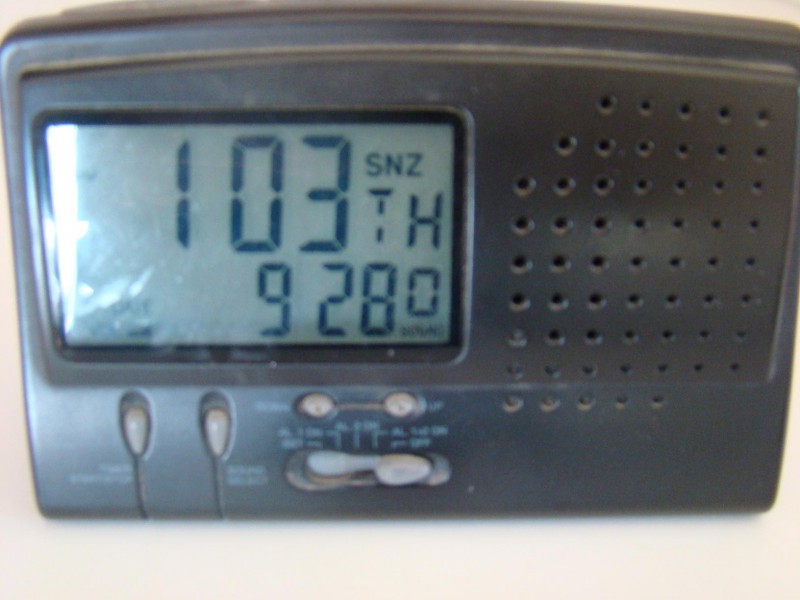 DSC0011.jpg