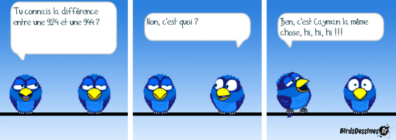 Bird Porsche.png