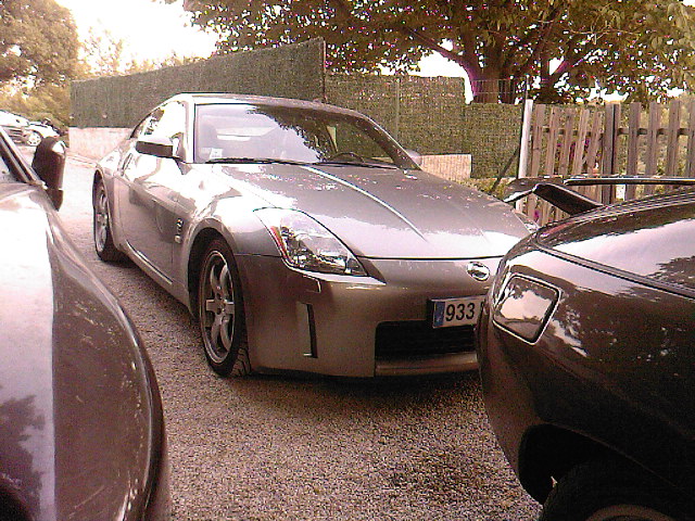 SP_A0865.jpg