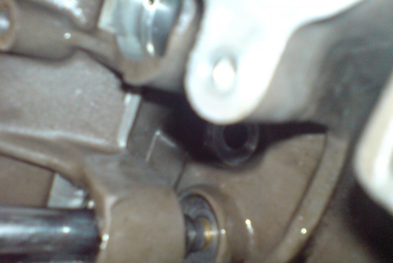 DSC00083.JPG