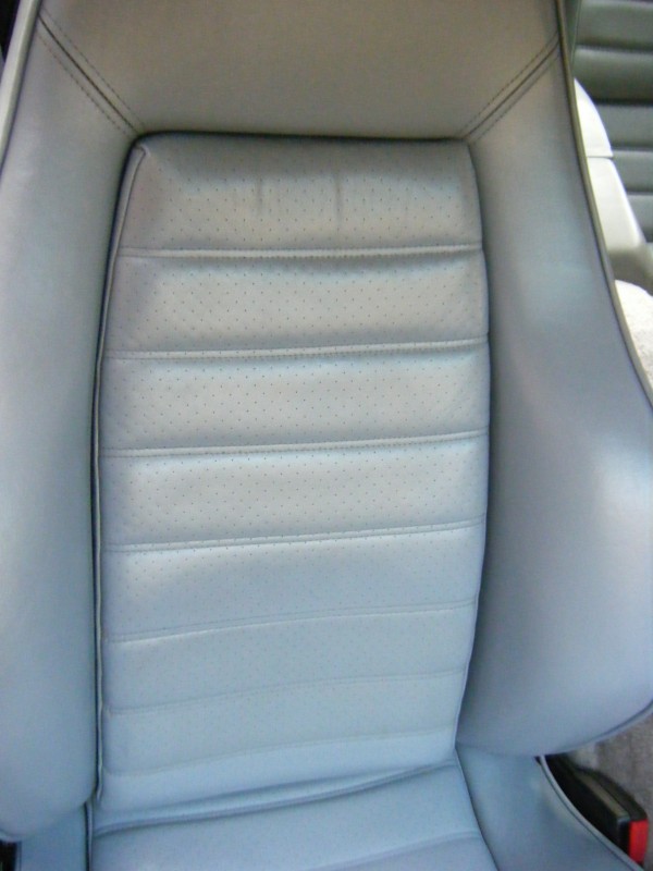cuir renovation 003.jpg
