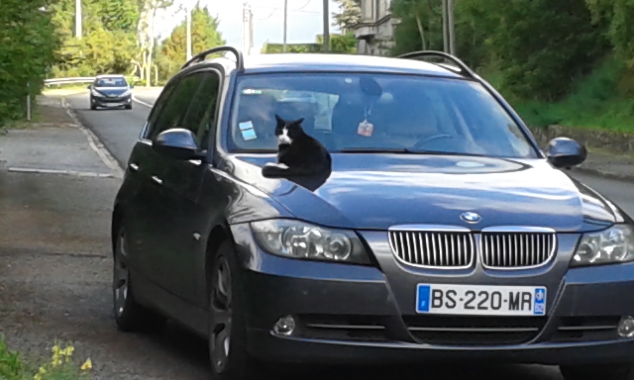20150919_112014.jpg