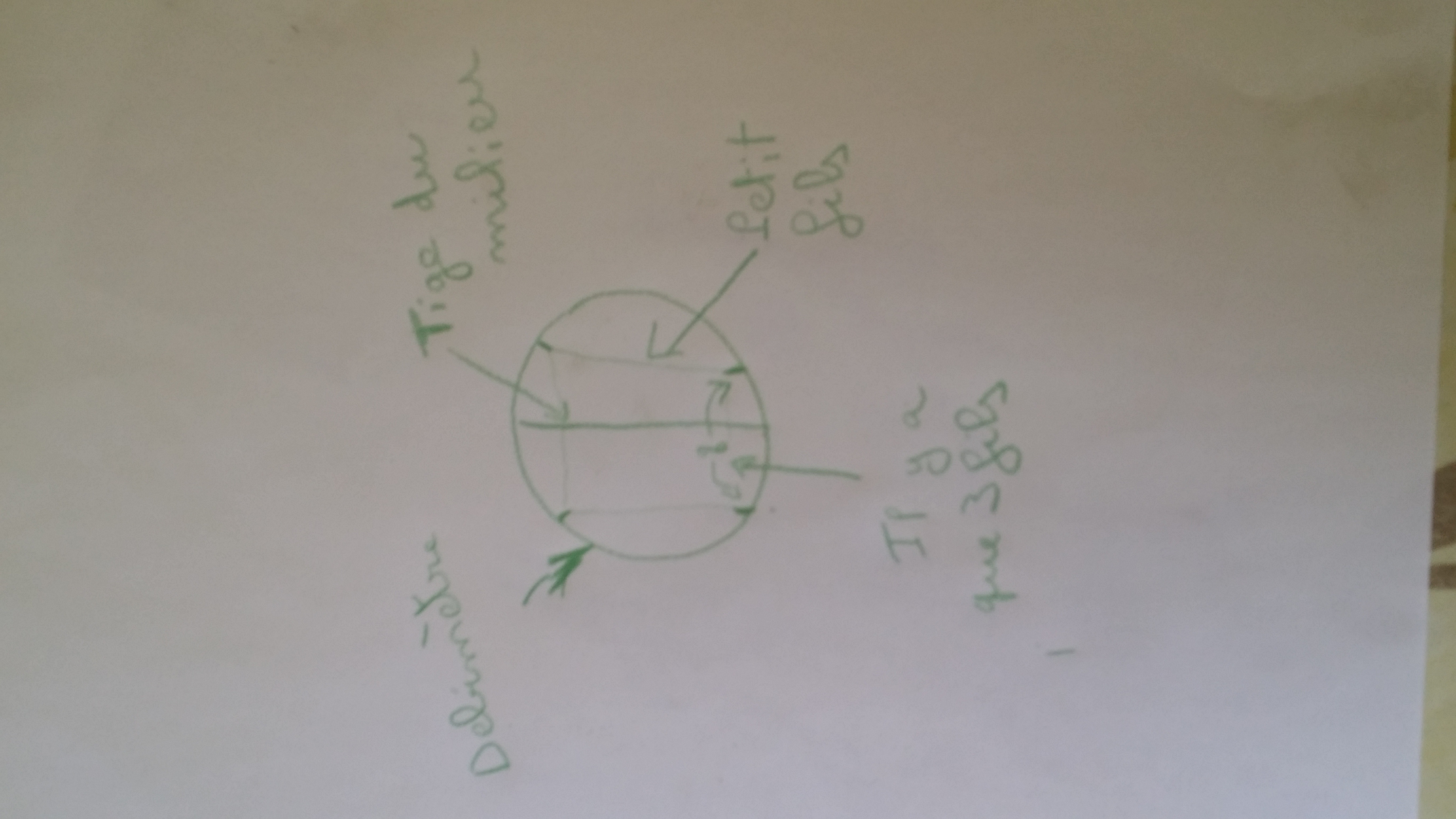 20160715_154506.jpg