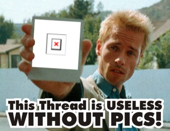 NO PICS.jpg