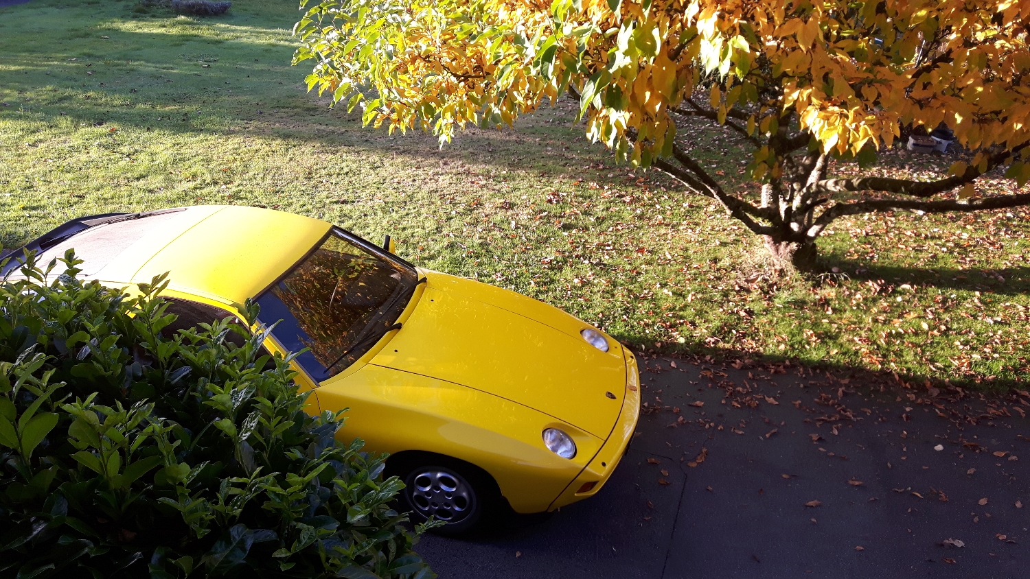 20161031_084247.jpg