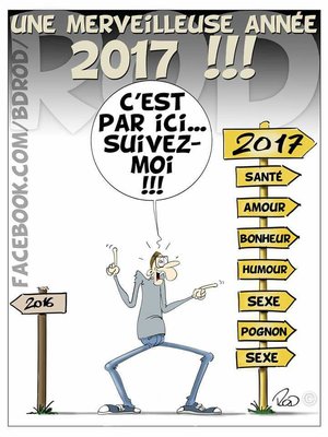 bonne année 2017.jpg