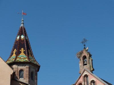 DSCN2502.JPG