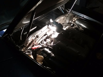 20170404_210817.jpg