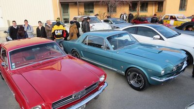 m_330045740_0.jpg