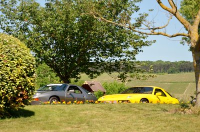 DSC_0031.JPG