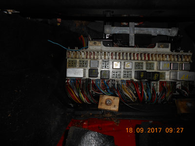 DSCN0955.JPG
