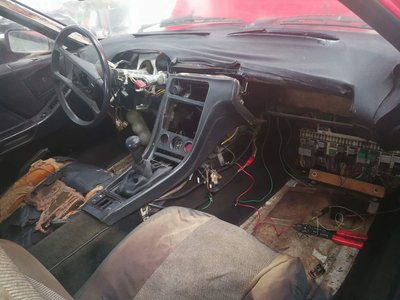 image1.jpeg