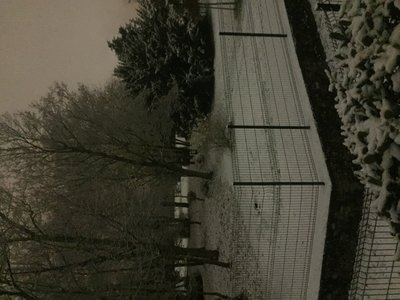 F40D486D-8D00-4C5C-A823-32C5CA49A77D.jpeg