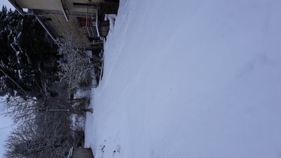 20171201_094512.jpg