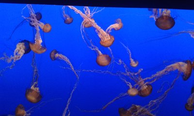 20160713_232144.jpg