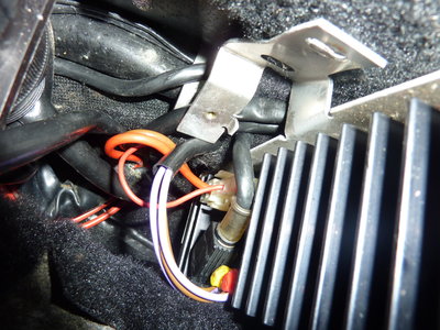 P1150937ok.JPG