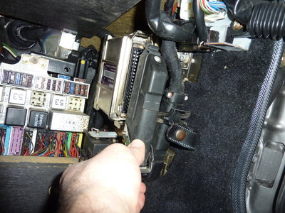 P1160641ok.JPG
