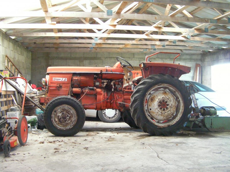 SANY0116.JPG
