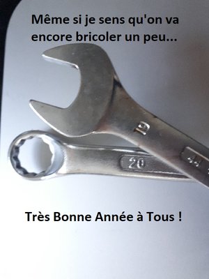 bonne année 2019.jpg