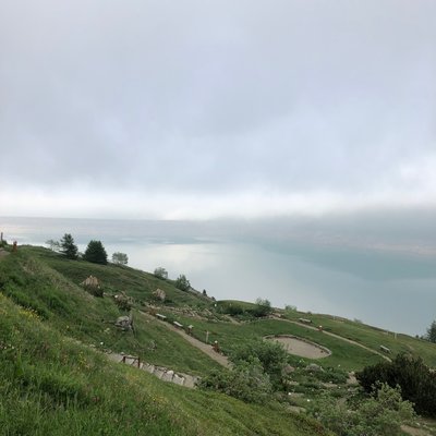 IMG_5783.jpg