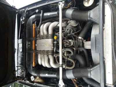 20180610_104121.jpg