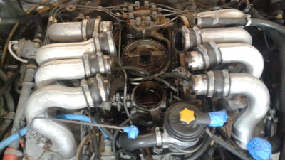 20200510_190151.jpg