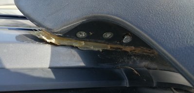 IMG_20200925_162939.jpg