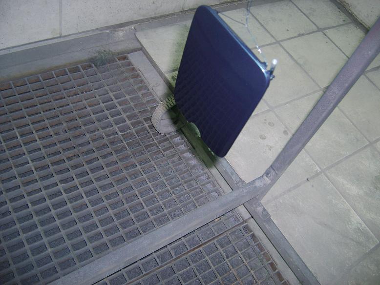 005.JPG