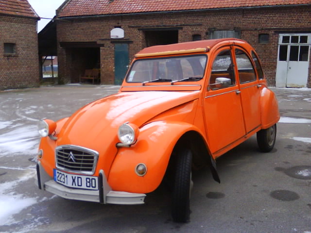 DSC00446.JPG
