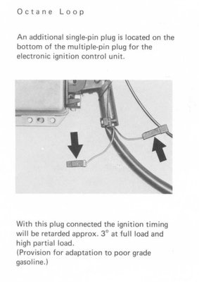 octane loop.jpg