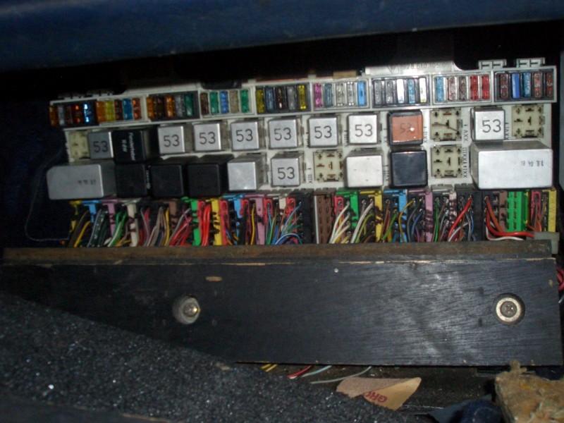 CIMG6396.JPG