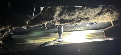 IMG_4185.jpeg