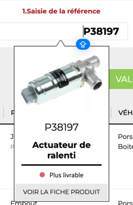 RALENTI ACTUATEUR .png