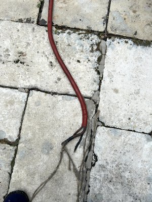 IMG_6394.jpeg