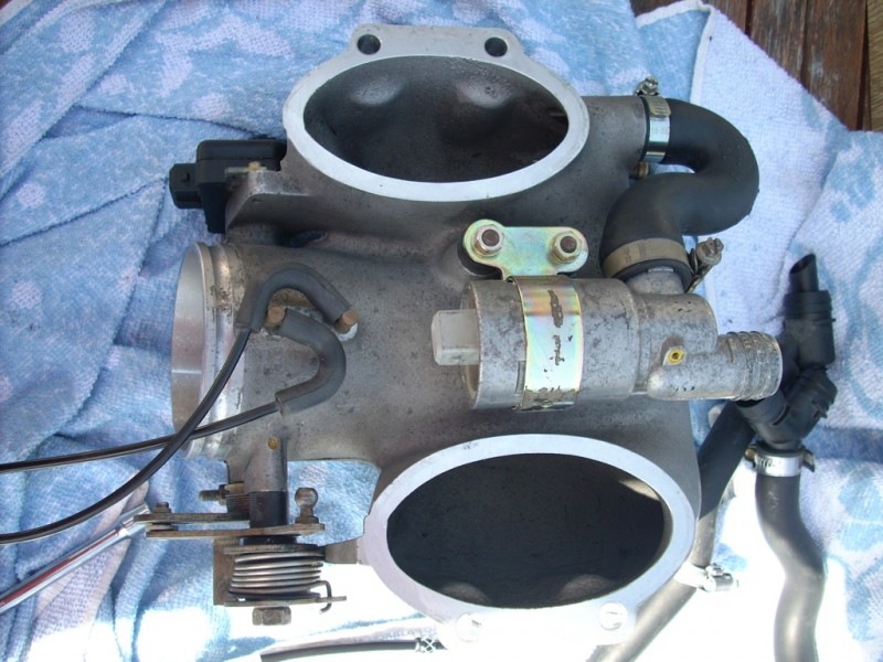 DSCN2782.jpg